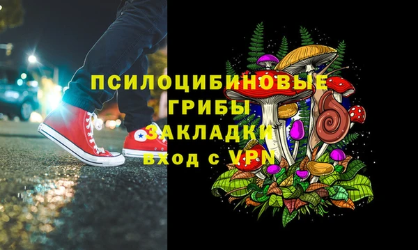 соль курить ск Алзамай