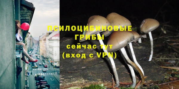 apvp Абдулино