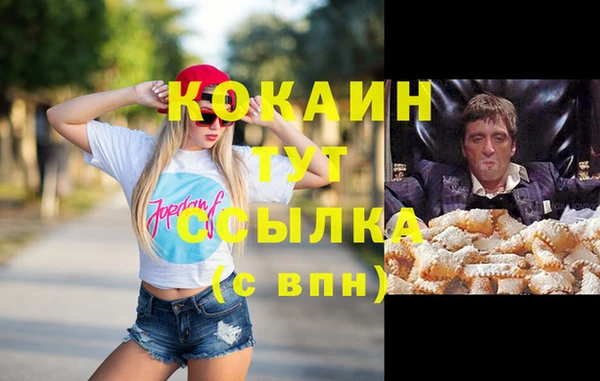соль курить ск Алзамай
