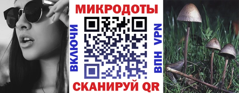 Галлюциногенные грибы мицелий  Ялта 